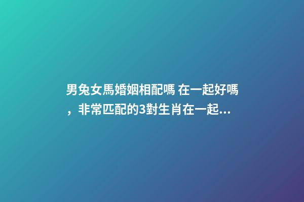 男兔女馬婚姻相配嗎 在一起好嗎，非常匹配的3對生肖在一起恩愛有加
